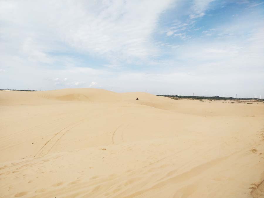 沙漠.jpg 沙漠.jpg